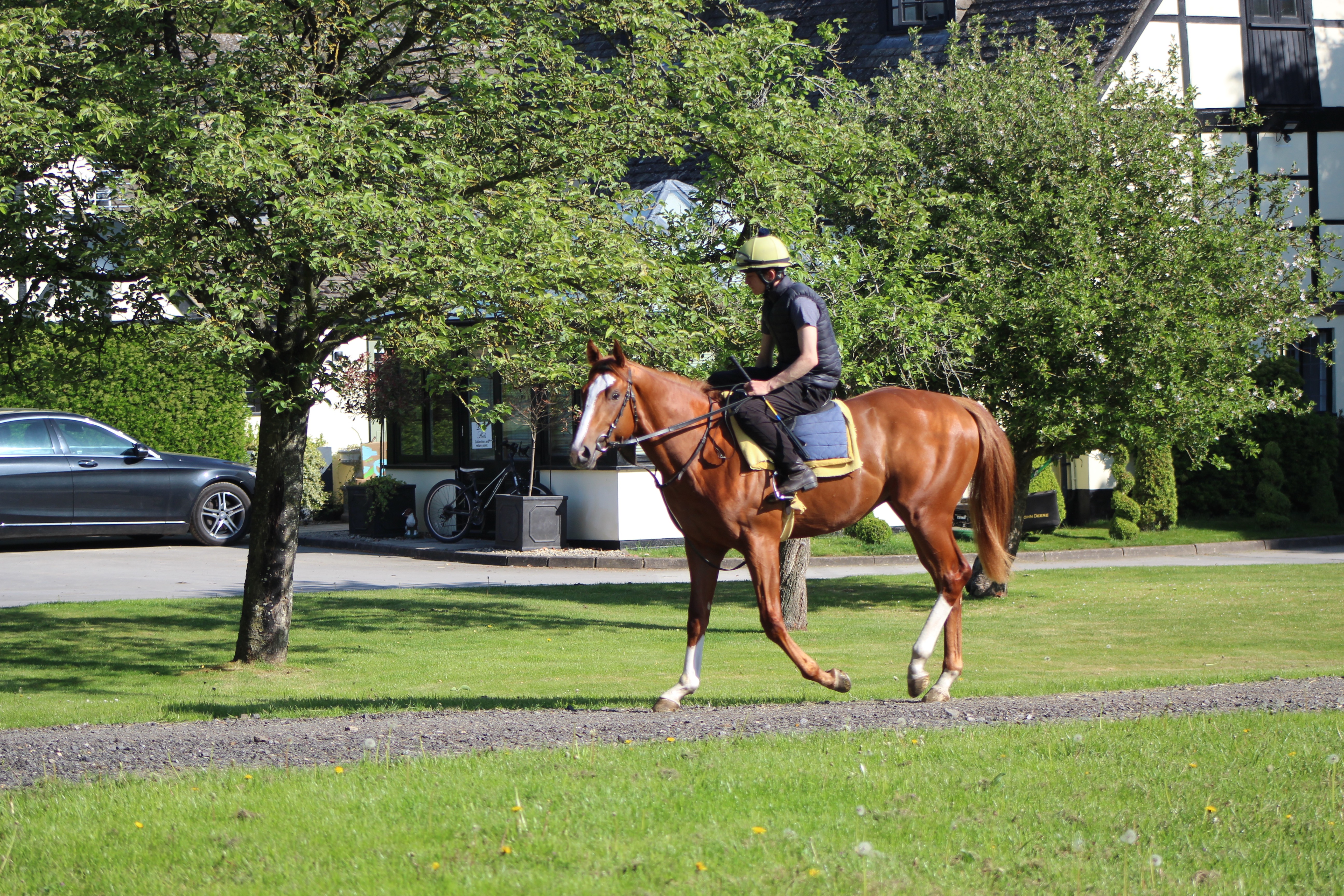 Richard's Guide; Race Planning