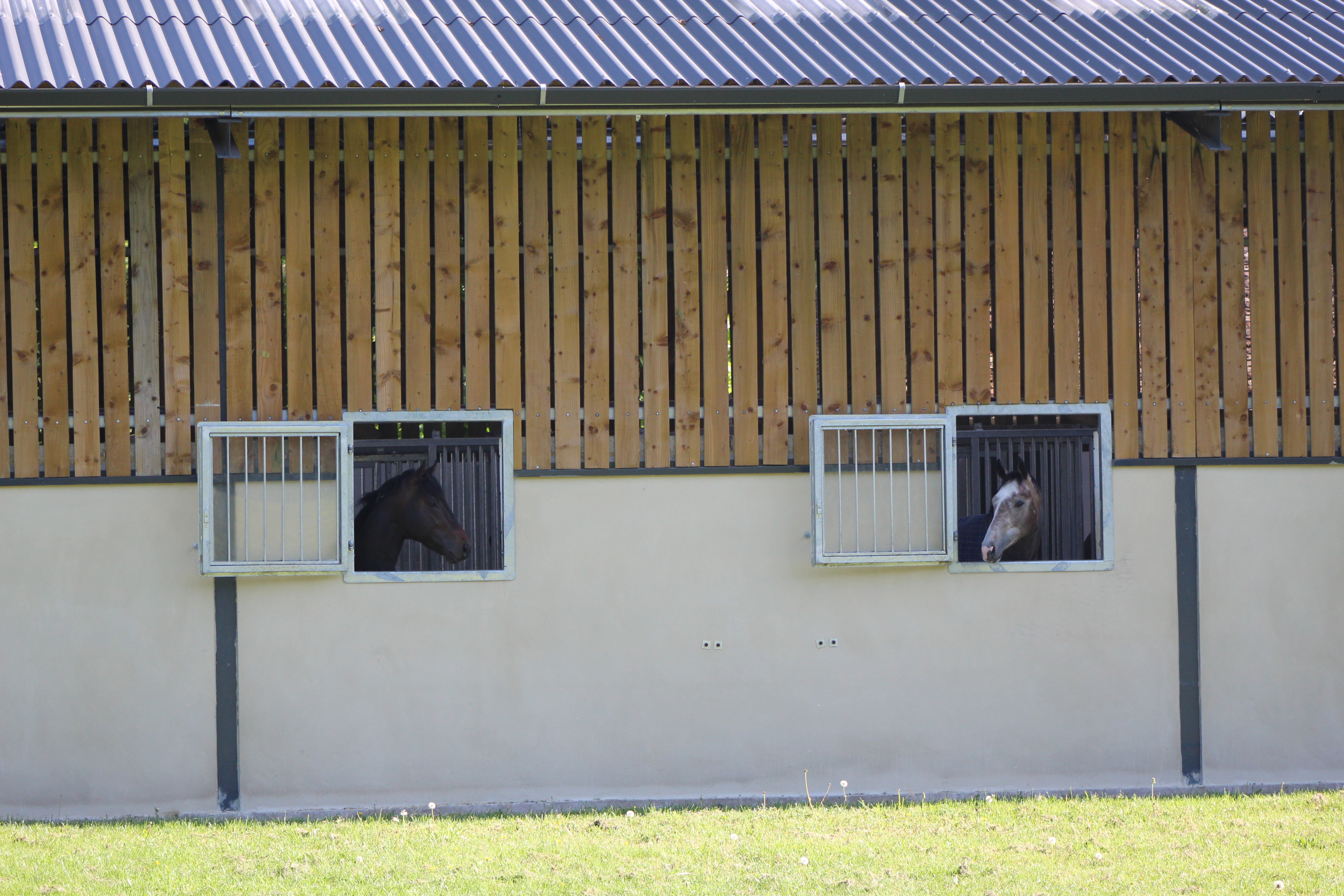 Yard & Facilities
