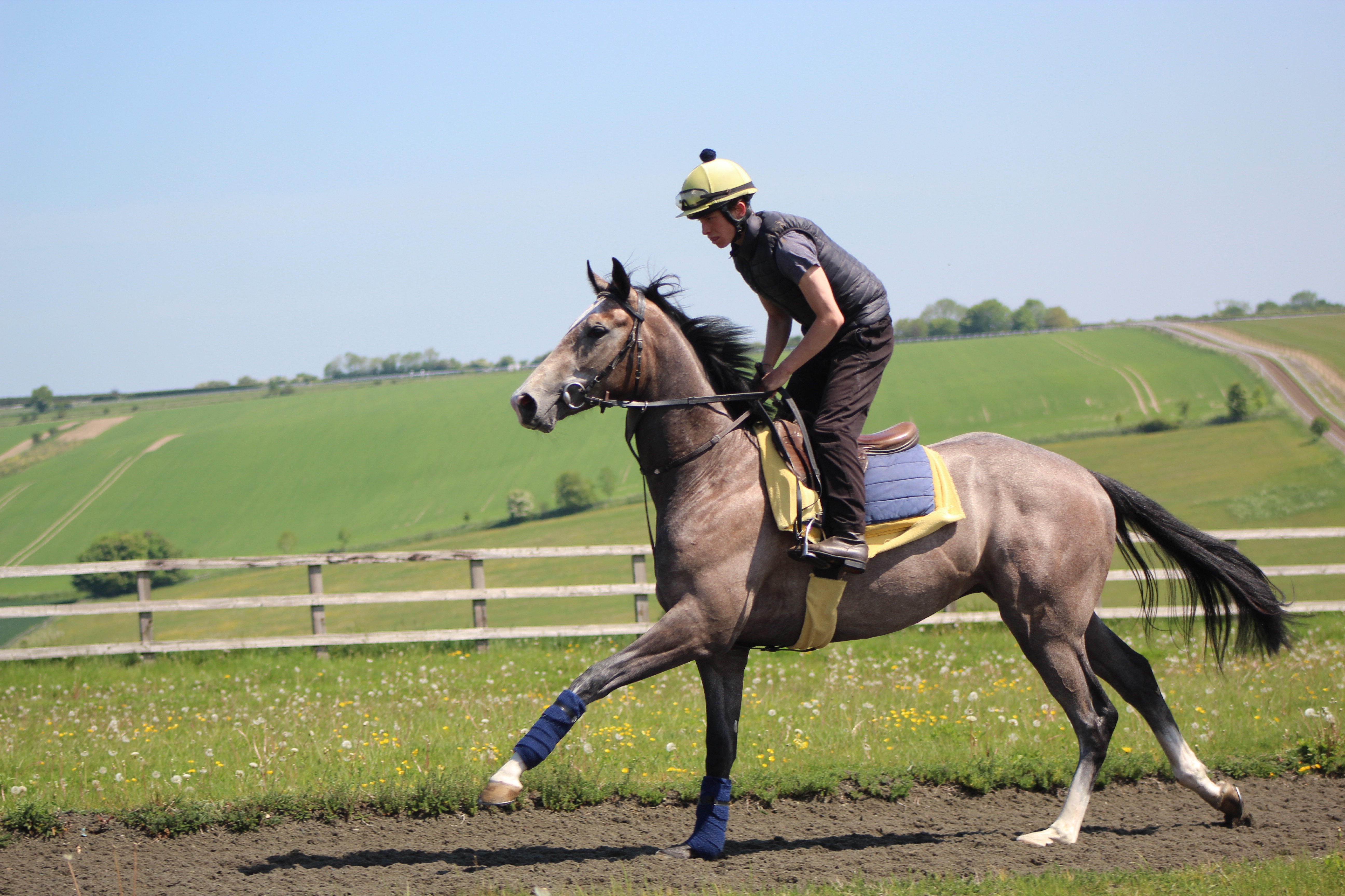 Richard's Guide; Three Factors To Training A Racehorse Richard Hughes